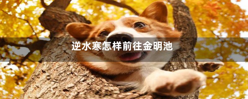 逆水寒怎样前往金明池