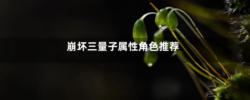 崩坏三量子属性角色推荐