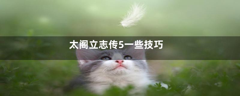 太阁立志传5一些技巧