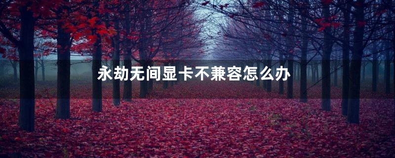 永劫无间显卡不兼容怎么办