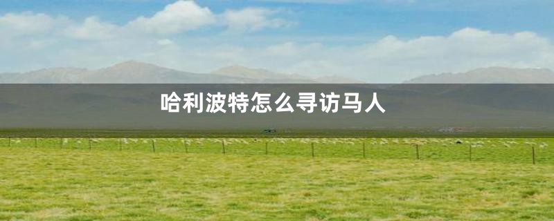 哈利波特怎么寻访马人