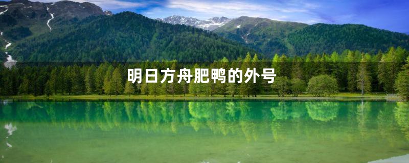 明日方舟肥鸭的外号