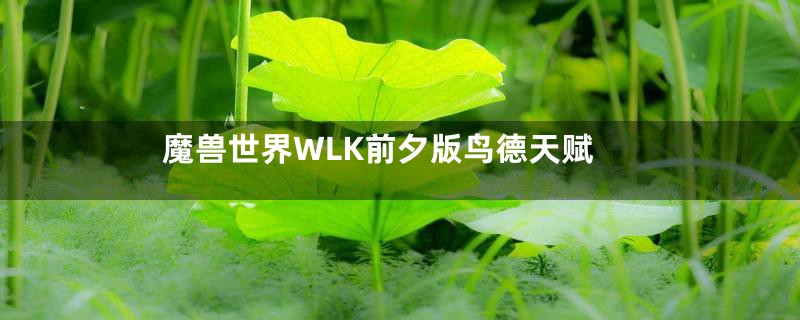 魔兽世界WLK前夕版鸟德天赋