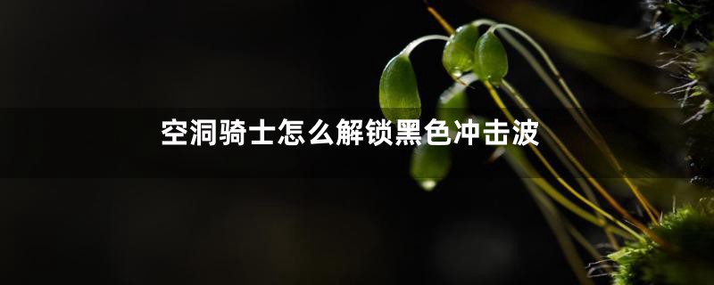 空洞骑士怎么解锁黑色冲击波