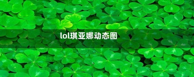 lol琪亚娜动态图