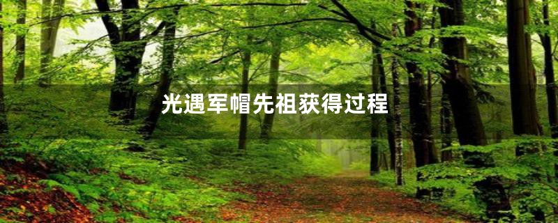 光遇军帽先祖获得过程