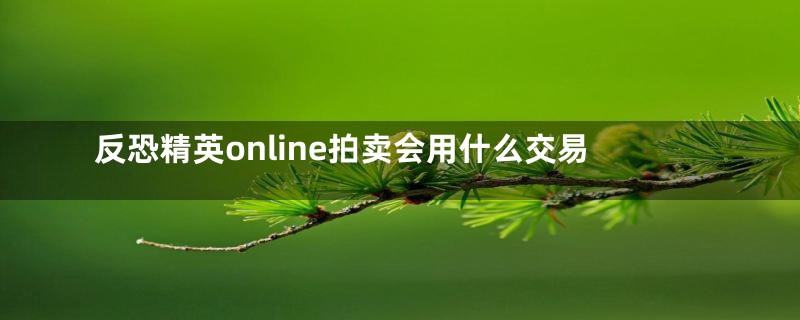 反恐精英online拍卖会用什么交易