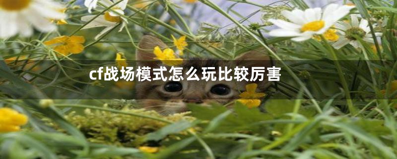 cf战场模式怎么玩比较厉害