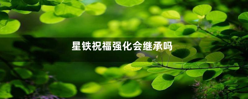 星铁祝福强化会继承吗