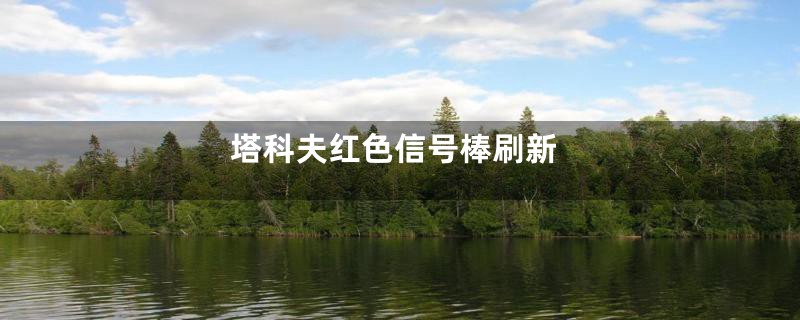 塔科夫红色信号棒刷新