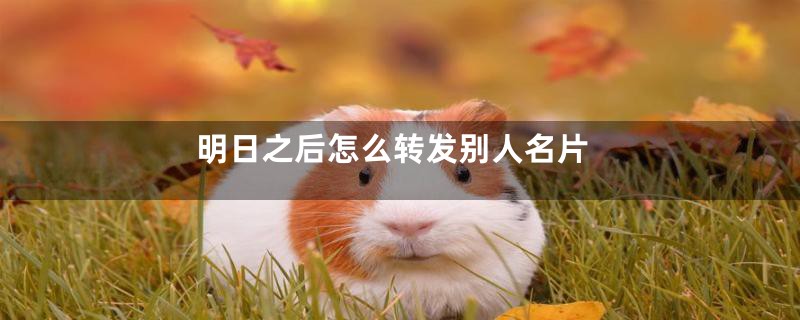 明日之后怎么转发别人名片