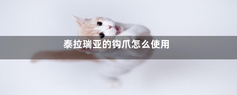 泰拉瑞亚的钩爪怎么使用