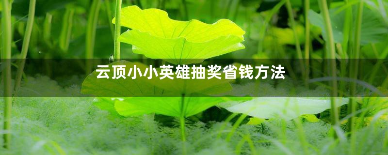 云顶小小英雄抽奖省钱方法