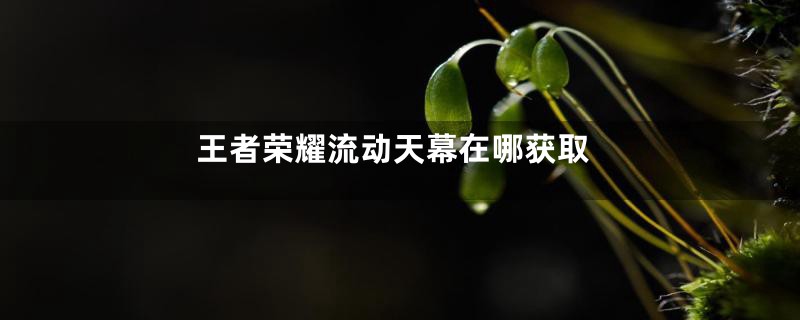 王者荣耀流动天幕在哪获取