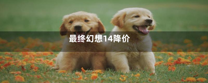 最终幻想14降价