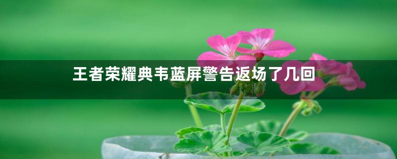 王者荣耀典韦蓝屏警告返场了几回