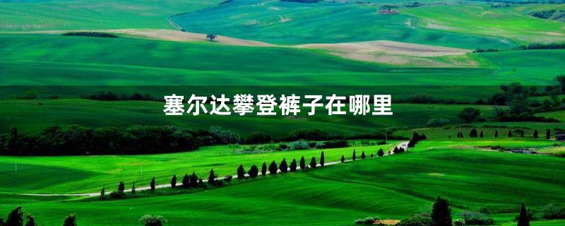 塞尔达攀登裤子在哪里