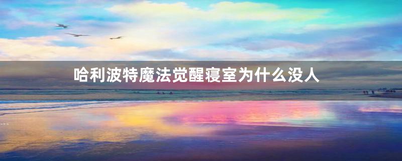 哈利波特魔法觉醒寝室为什么没人