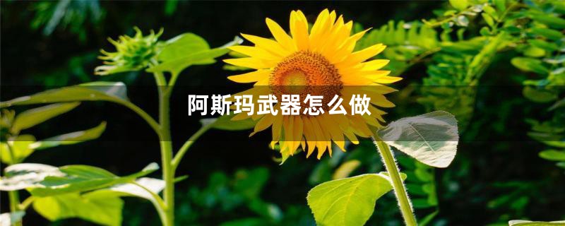 阿斯玛武器怎么做