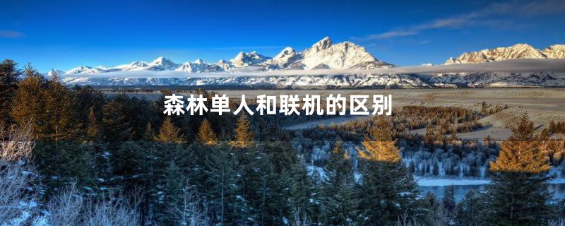 森林单人和联机的区别