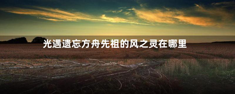 光遇遗忘方舟先祖的风之灵在哪里