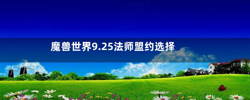 魔兽世界9.25法师盟约选择