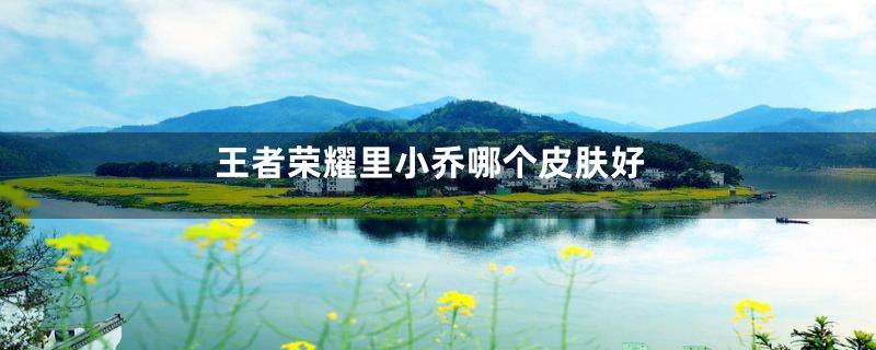 王者荣耀里小乔哪个皮肤好