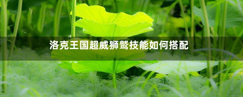 洛克王国超威狮鹫技能如何搭配
