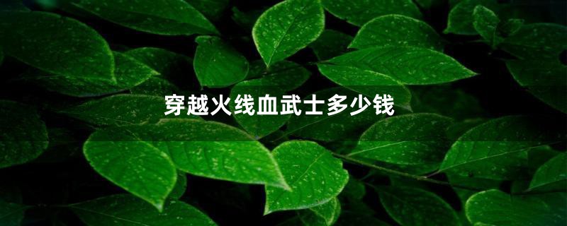 穿越火线血武士多少钱