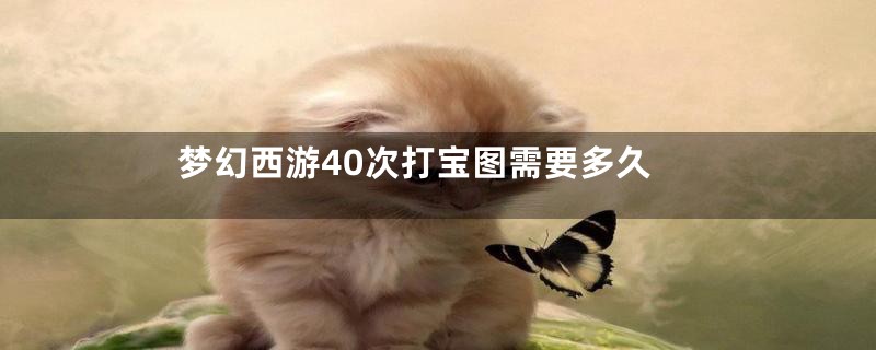 梦幻西游40次打宝图需要多久