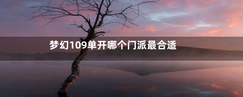 梦幻109单开哪个门派最合适