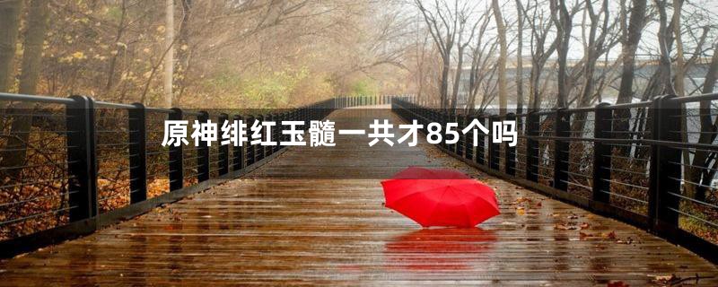 原神绯红玉髓一共才85个吗