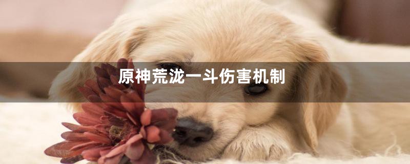 原神荒泷一斗伤害机制