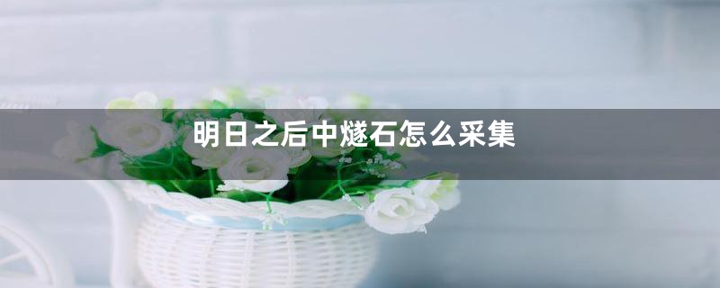 明日之后中燧石怎么采集