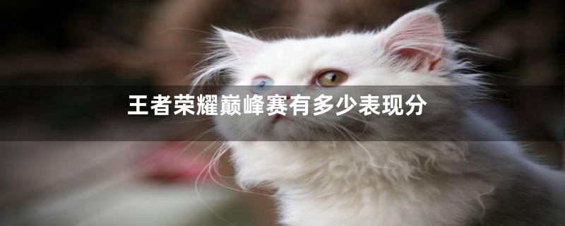 王者荣耀巅峰赛有多少表现分