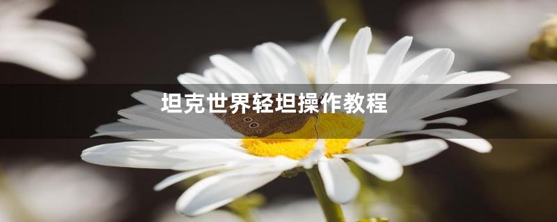 坦克世界轻坦操作教程