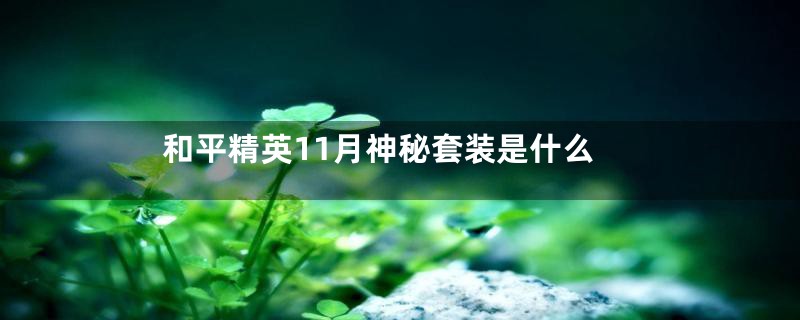 和平精英11月神秘套装是什么