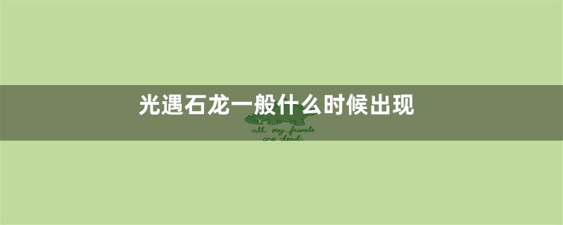 光遇石龙一般什么时候出现