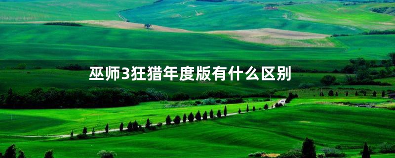 巫师3狂猎年度版有什么区别