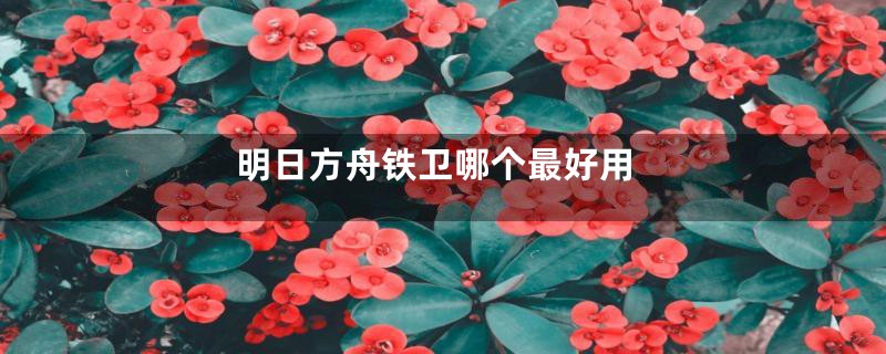 明日方舟铁卫哪个最好用