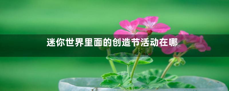 迷你世界里面的创造节活动在哪