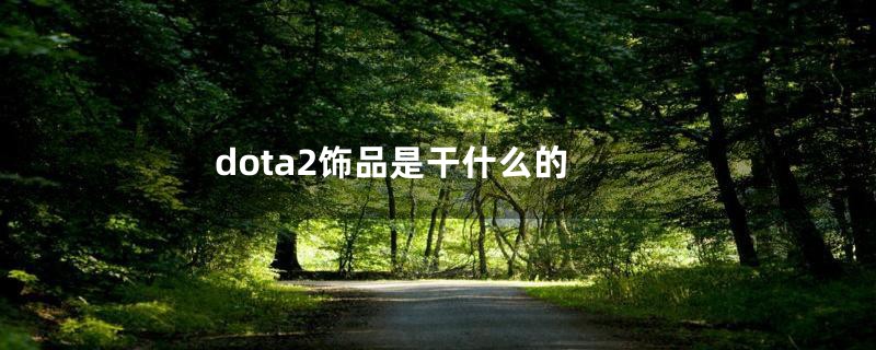 dota2饰品是干什么的