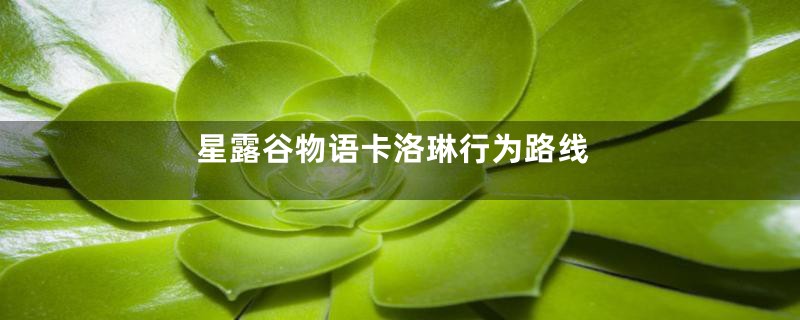 星露谷物语卡洛琳行为路线