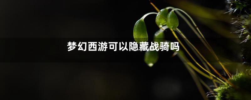 梦幻西游可以隐藏战骑吗
