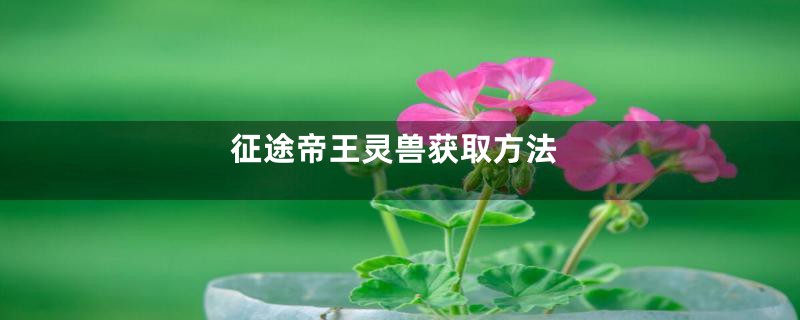 征途帝王灵兽获取方法