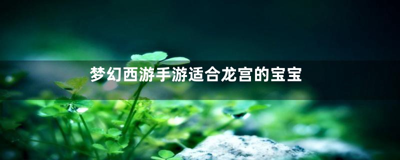 梦幻西游手游适合龙宫的宝宝
