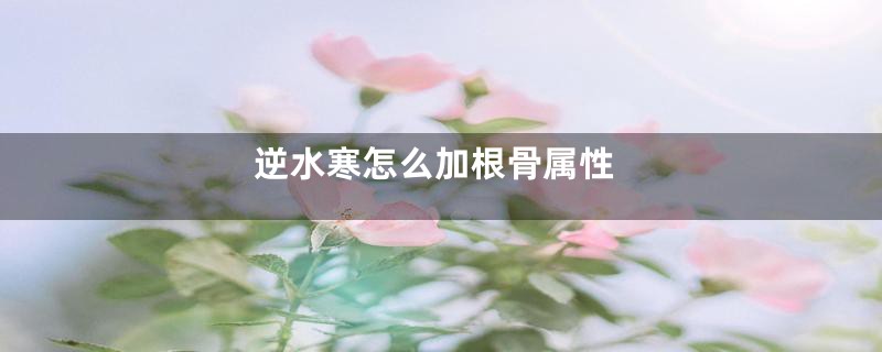 逆水寒怎么加根骨属性