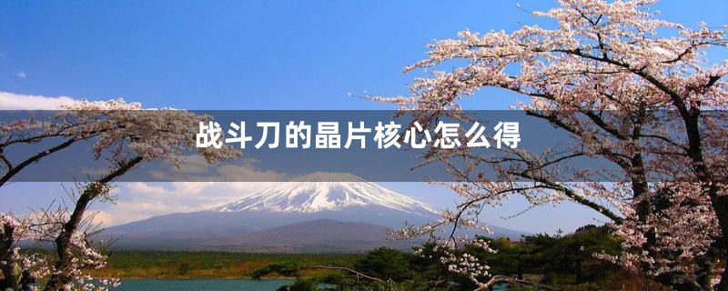 战斗刀的晶片核心怎么得