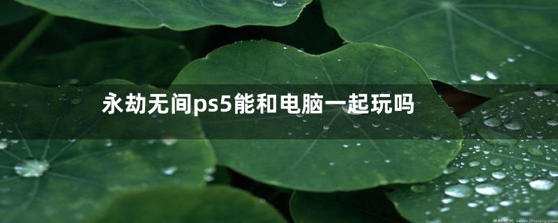 永劫无间ps5能和电脑一起玩吗