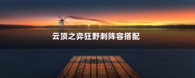 云顶之弈狂野刺阵容搭配